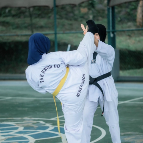 sma taekwondo